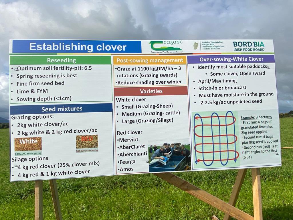 teagasc's tweet photo. The inclusion of red clover into silage swards has great potential. These swards have an enhanced ability over grass only swards to maintain high levels of herbage production and animal performance in the absence of chemical N fertiliser #OrganicBeef22 https://t.co/wXCom3A8Vh