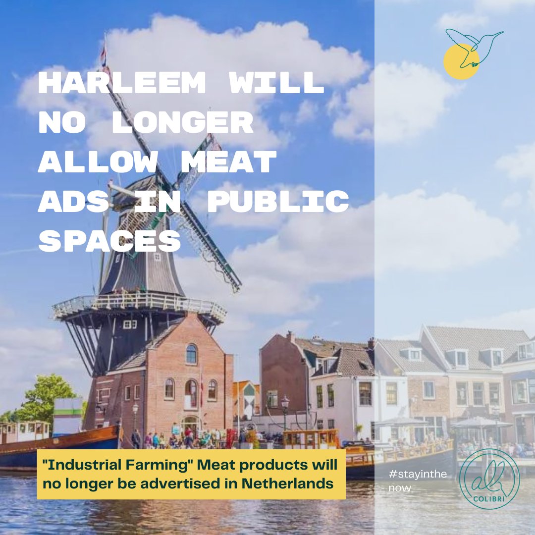 For the first time ever, the Dutch city of Haarlem is putting a ban on meat advertisements in public spaces!

Cattle contributes more than a third 37% of the world’s greenhouse gas emissions, with meat in particular causing about twice the emissions of other types of food.