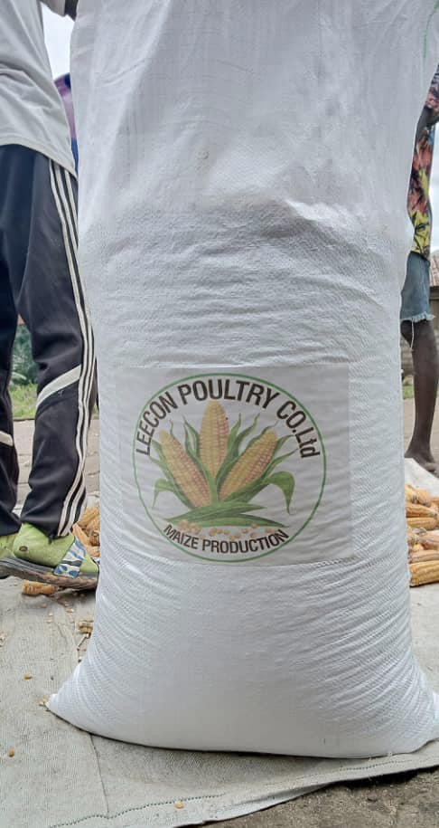 Solidaridad_wa's tweet photo. @Solidaridad_wa supported @LeeconPoultry, a beneficiary under #SCADeP, to train some out-grower maize farmers in post harvest practices, as part of efforts to improve their knowledge & skills. The project is implemented by the Government of #SierraLeone & funded by @WorldBank. https://t.co/PJu4bbkD3i
