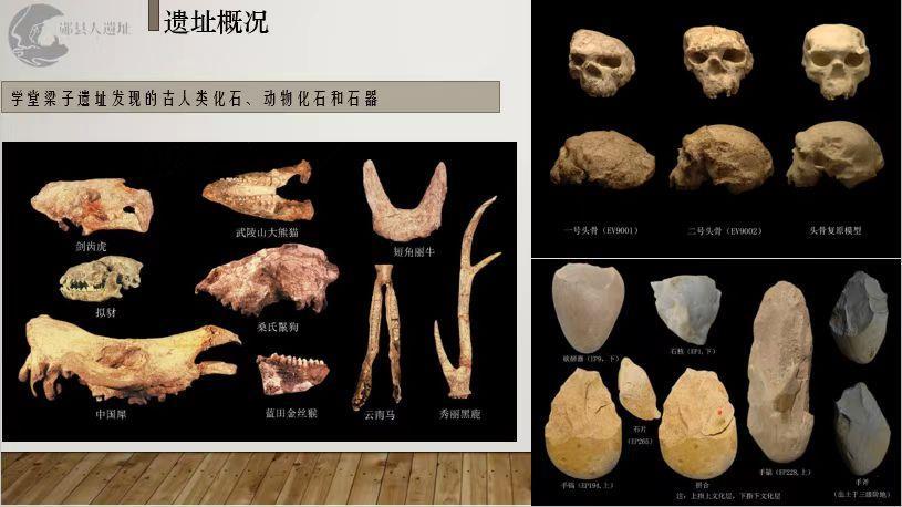 M7tHDlLoRwUXhyU's tweet photo. 【中国湖北发现距今百万年人类头骨化石】考古中国重大项目新发现,湖北十堰学堂梁子遗址,新发现1具古人类头骨化石,郧县人3号头骨。该头骨颅型饱满,眉弓明显隆起,是迄今欧亚内陆发现的同时代最为完整的直立人头骨化石,距今约100万年,是探讨人类东亚出现和发展的重要化石证据
#China
#humanfossil https://t.co/jpWzOuqJZH