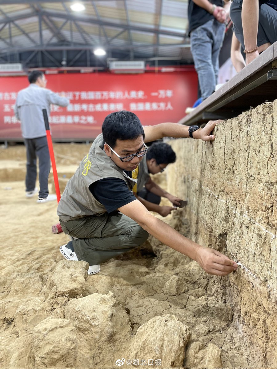 M7tHDlLoRwUXhyU's tweet photo. 【中国湖北发现距今百万年人类头骨化石】考古中国重大项目新发现,湖北十堰学堂梁子遗址,新发现1具古人类头骨化石,郧县人3号头骨。该头骨颅型饱满,眉弓明显隆起,是迄今欧亚内陆发现的同时代最为完整的直立人头骨化石,距今约100万年,是探讨人类东亚出现和发展的重要化石证据
#China
#humanfossil https://t.co/jpWzOuqJZH