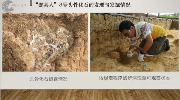 M7tHDlLoRwUXhyU's tweet photo. 【中国湖北发现距今百万年人类头骨化石】考古中国重大项目新发现,湖北十堰学堂梁子遗址,新发现1具古人类头骨化石,郧县人3号头骨。该头骨颅型饱满,眉弓明显隆起,是迄今欧亚内陆发现的同时代最为完整的直立人头骨化石,距今约100万年,是探讨人类东亚出现和发展的重要化石证据
#China
#humanfossil https://t.co/jpWzOuqJZH