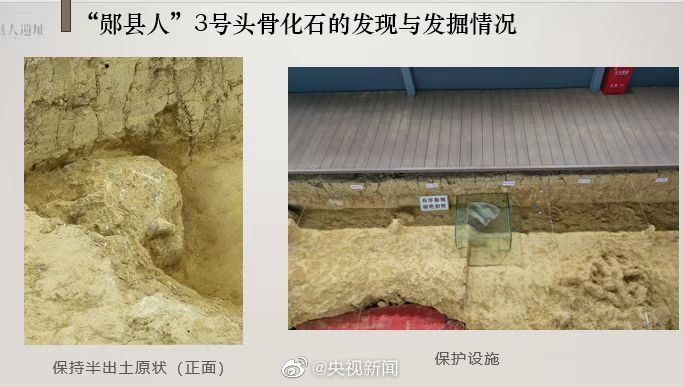 M7tHDlLoRwUXhyU's tweet photo. 【中国湖北发现距今百万年人类头骨化石】考古中国重大项目新发现,湖北十堰学堂梁子遗址,新发现1具古人类头骨化石,郧县人3号头骨。该头骨颅型饱满,眉弓明显隆起,是迄今欧亚内陆发现的同时代最为完整的直立人头骨化石,距今约100万年,是探讨人类东亚出现和发展的重要化石证据
#China
#humanfossil https://t.co/jpWzOuqJZH