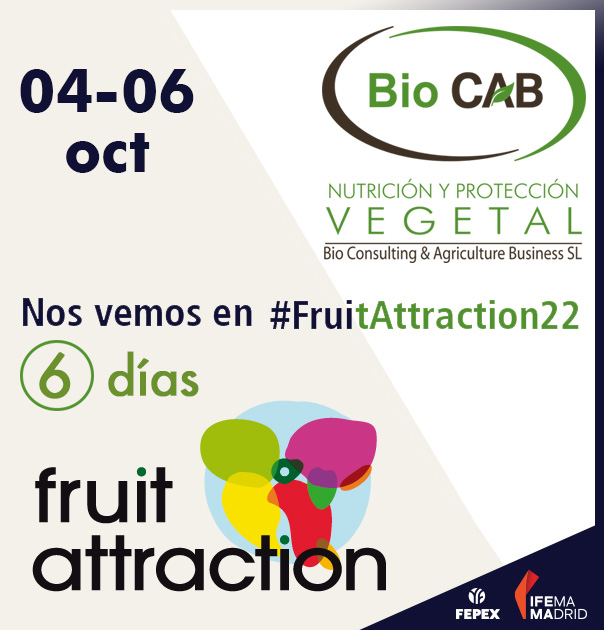 BioCAB_es's tweet photo. Ultimando los detalles... #FruitAttraction2022 #Agricultura https://t.co/s546VTu75x