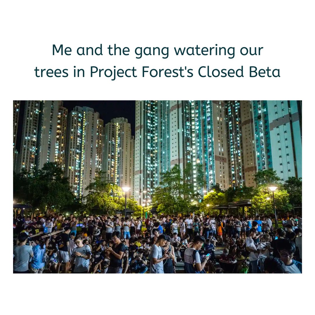 ProjectForestHQ's tweet photo. Raise your hand if this was you yesterday... 🙋
#ProjectForest #BNBChain #NFT https://t.co/8OhvsyrsQX