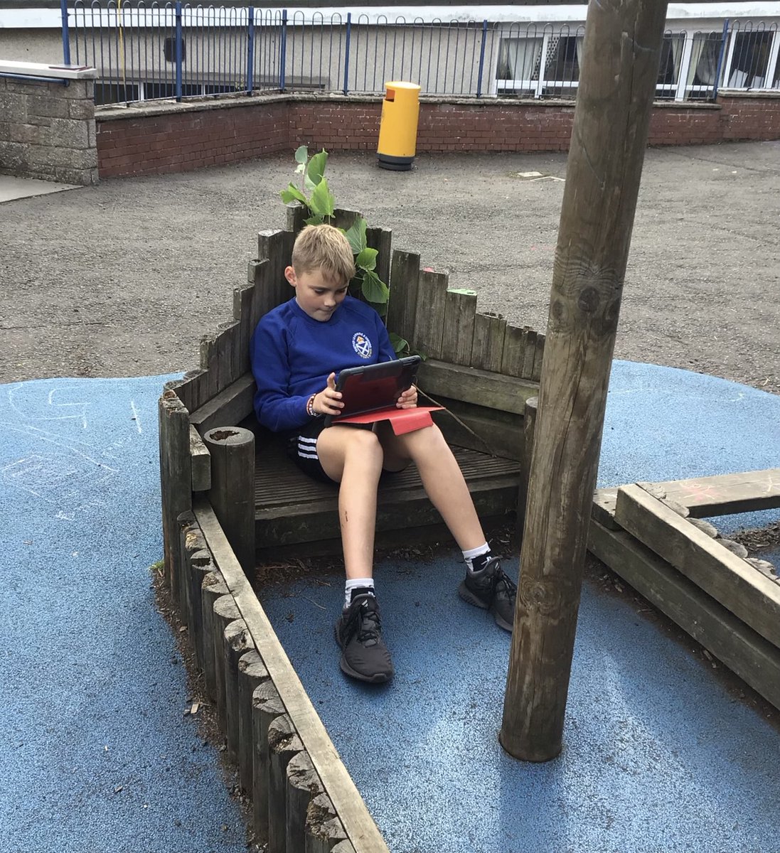 St Peter's PS tweet media