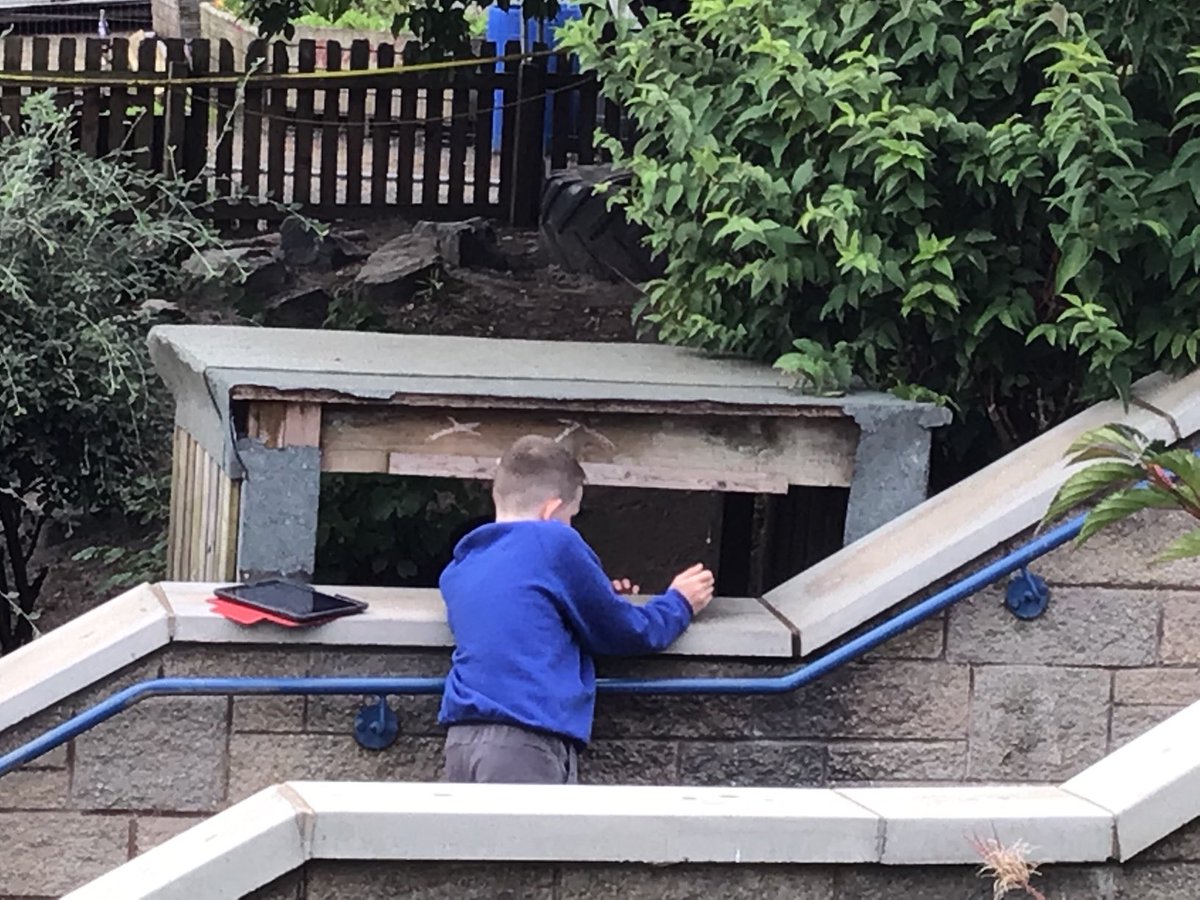 St Peter's PS tweet media