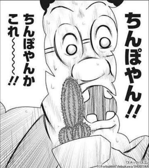 だいはっけん!! 