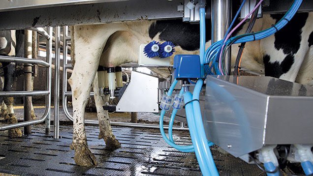 Shane McAuliffe 🐷✈️ tweet media