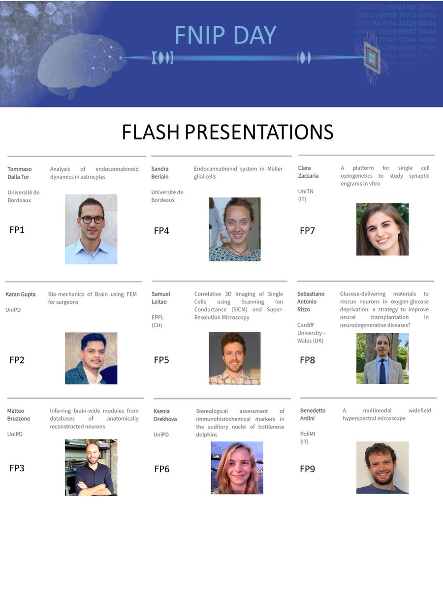 Looking forward to hearing these 9 PhD Flash Presentations and each talk of our invited experts on #microscopy and #neuroscience! 

Tomorrow: FNIP day at Palazzo della Salute (PD) with DSBUnipd, <a href="/PNC_UniPD/">Padova Neuroscience Center</a> <a href="/DFAUnipd/">Dipartimento di Fisica e Astronomia DFA - UNIPD</a>! 
More info here: fnip.biomed.unipd.it/event/fnip-sem…