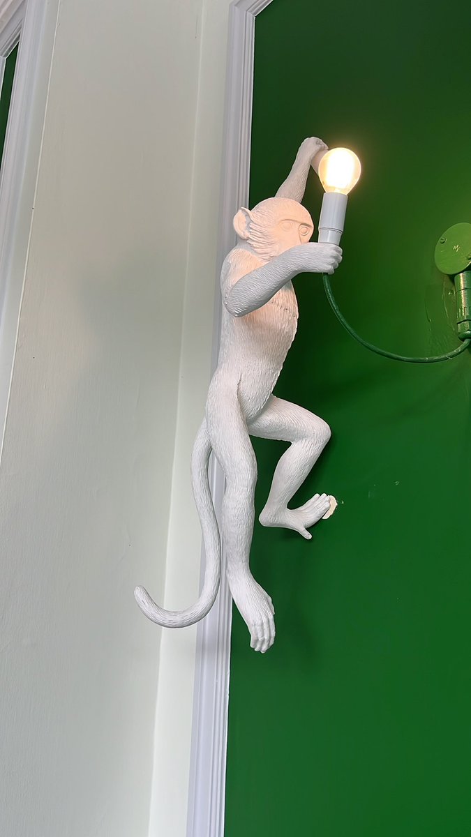 Today we’re working with King’s College BMEIS at <a href="/zsllondonzoo/">London Zoo</a> … best safety warning ever… if there’s an alarm outside… stay inside it means that an animal has escaped… last time was a gibbon. The light fittings are on theme too.
