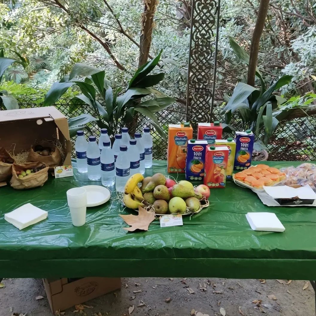 BdTMalaga's tweet photo. 🎂 El pasado 22 de septiembre tuvimos la oportunidad de celebrar nuestro 13 aniversario en el Jardín Botánico, demostrando la trayectoria de este proyecto tan necesario y solidario, compartiendo tiempo, sabiduría, solidaridad y compañía. https://t.co/XKdFtDyDSV