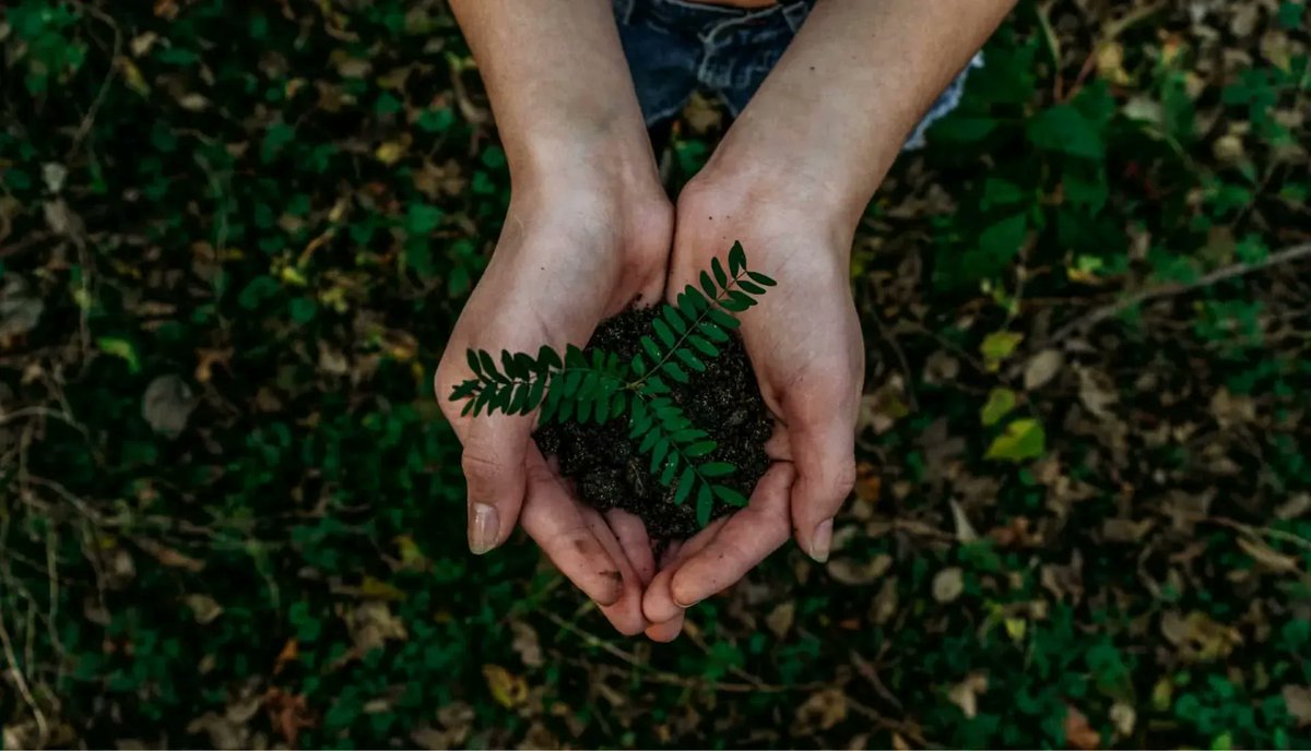_wearemotion's tweet photo. We’ve all been trying to be more green for some time now. Whether it’s installing recycling bins for paper and plastic or encouraging more cycle-to-work initiatives.

But how green is your website? 👀 🍃

https://t.co/VpafeQwQ4O

#environmental #GreenEnergy #doncasterisgreat https://t.co/Isz9tcvUJk