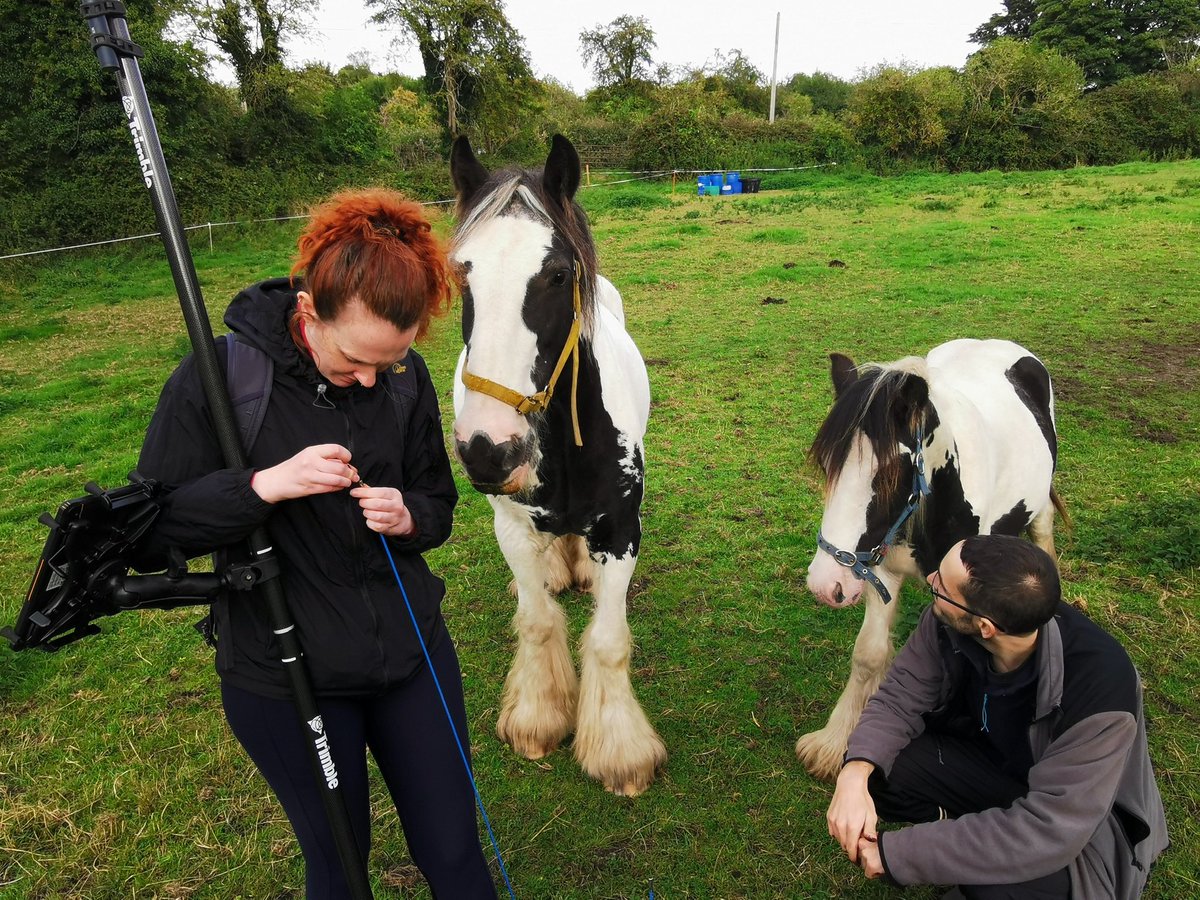 Our work being closely inspected <a href="/abbeyleixbog/">Abbeyleix Bog</a> for <a href="/RePEAT_IRE/">RePEAT Project</a> 😰 📸 <a href="/PaddyKoos/">Chris Uys</a>