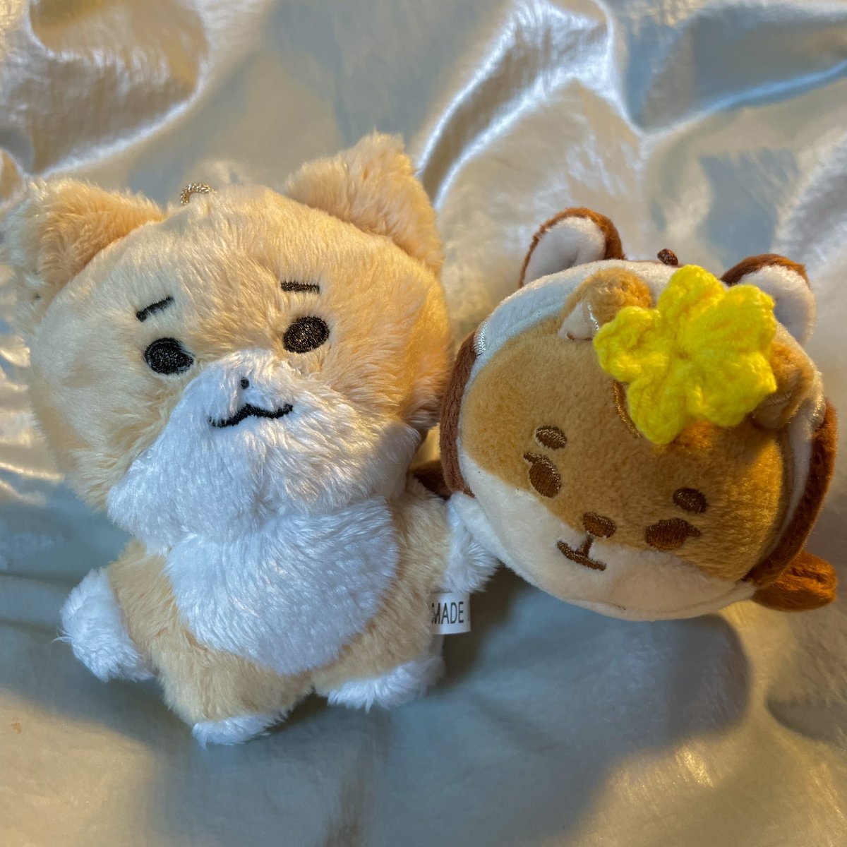 칭구가 생겼어요🐶🐰🦊🐱

#오늘은_깡꼼자랑으로_가자아아아