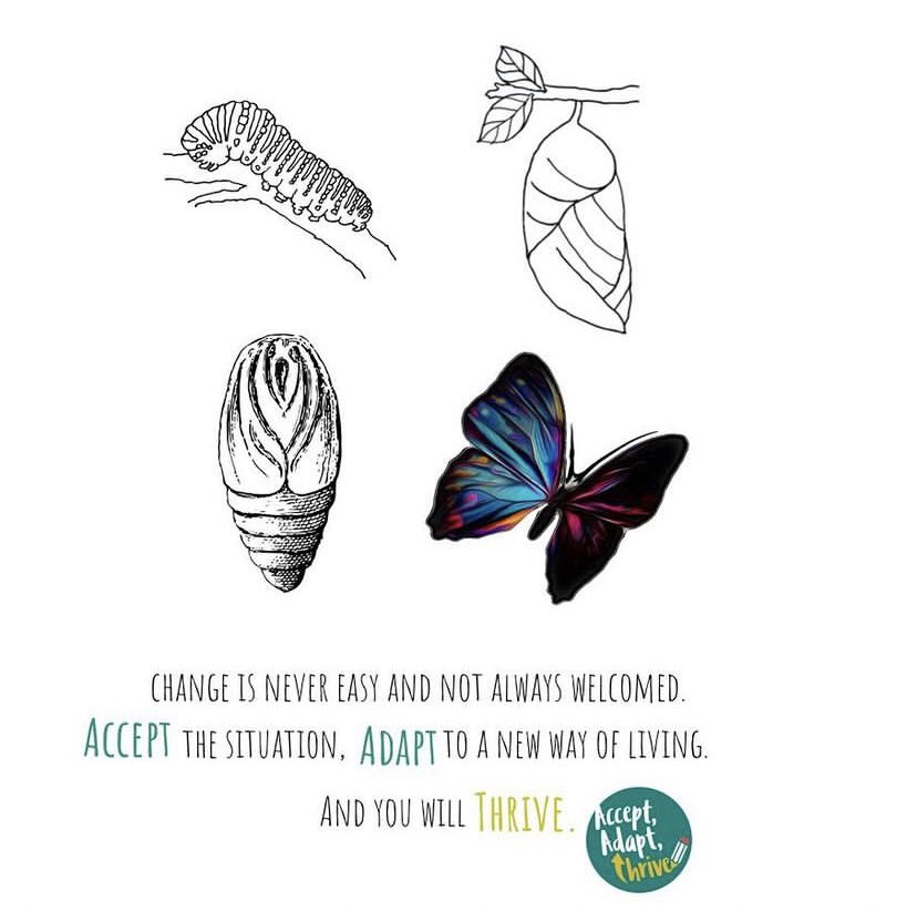 AcceptA_Thrive's tweet photo. Change isnβt always easy, but sometimes necessary to move forward. Accepting change needs to happen is hard, but then accepted you will thrive. π π¦
#traumarecovery #selfcare #changing #theraputictherapy #therapy #anxiety #wellbeing #mentalhealth #feelings #drawingandtalking https://t.co/xyWG14FeoE