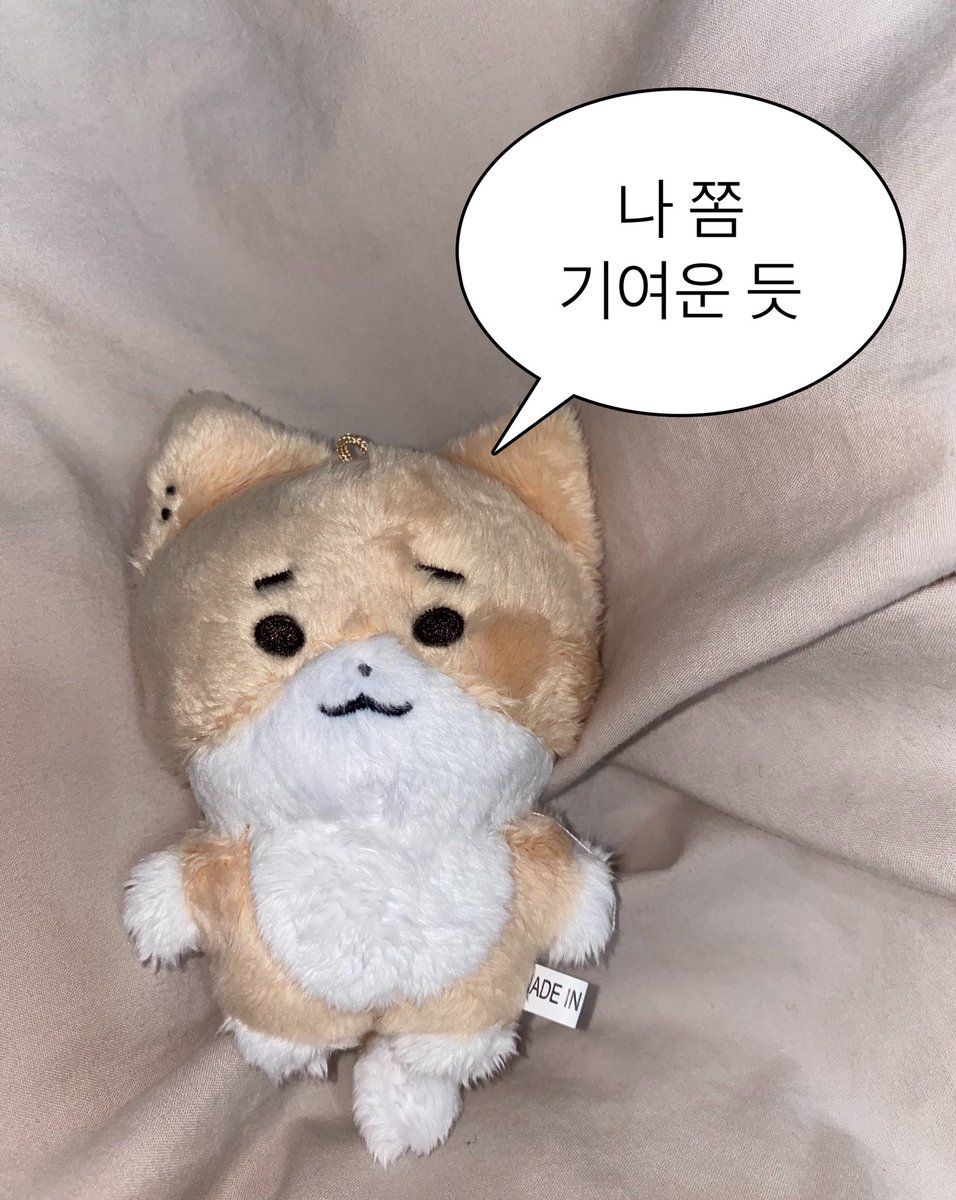 #오늘은_깡꼼자랑으로_가자아아아

ㄱㅇㅇ...........🧡