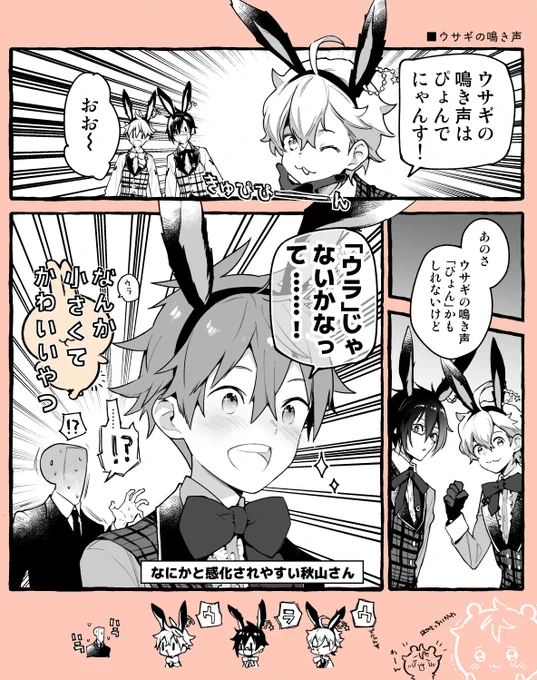 ウサギ 