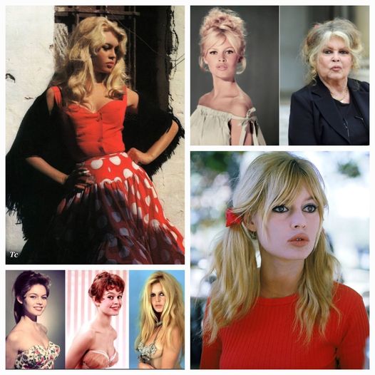 Happy Birthday. Brigitte Bardot. September 28th 1934, (88) 