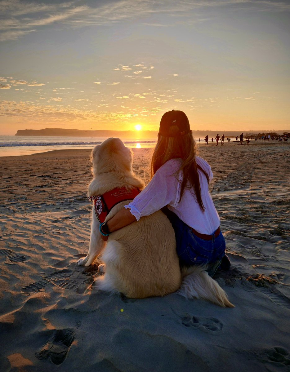 sampson_dog's tweet image. I am a Service Dog! I have made my Mom’s life a possibility. With me beside her she earned a degree in neuroscience, started a company to advocate for others with service dogs in STEM, and recovered from a brain injury. She says I saved her life. Side-by-side we are partners.