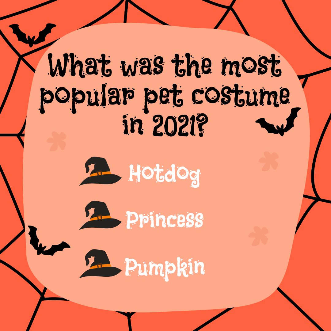 Soothing_Dog_S's tweet photo. Time for some Fall trivia! Do you know the answer? Comment below 👇️

#dogsoffacebook #dogslife #dogdays #catsoftheworld #kittenlife #spotifypodcast #spotifymusic #applemusic #applepodcast https://t.co/CKI5Pf2qoZ