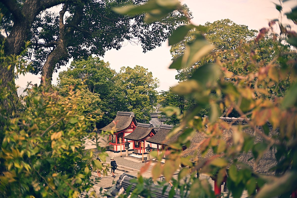 「朱色と若草色にまみれたとても良い京都の旅でした 」|野間与太郎@｢魔法空艇の案内係｣1巻発売中✈️のイラスト