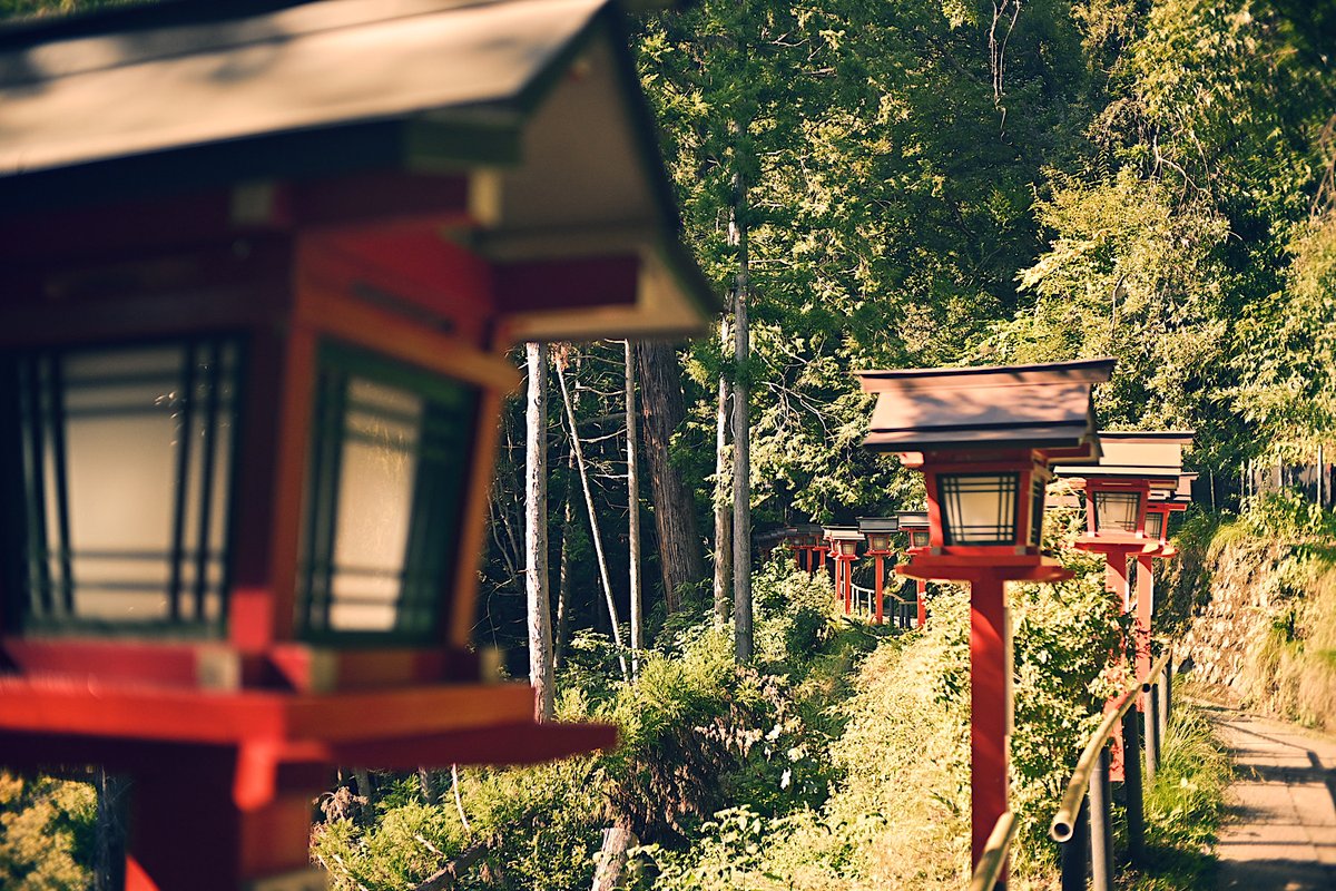 「朱色と若草色にまみれたとても良い京都の旅でした 」|野間与太郎@｢魔法空艇の案内係｣1巻発売中✈️のイラスト