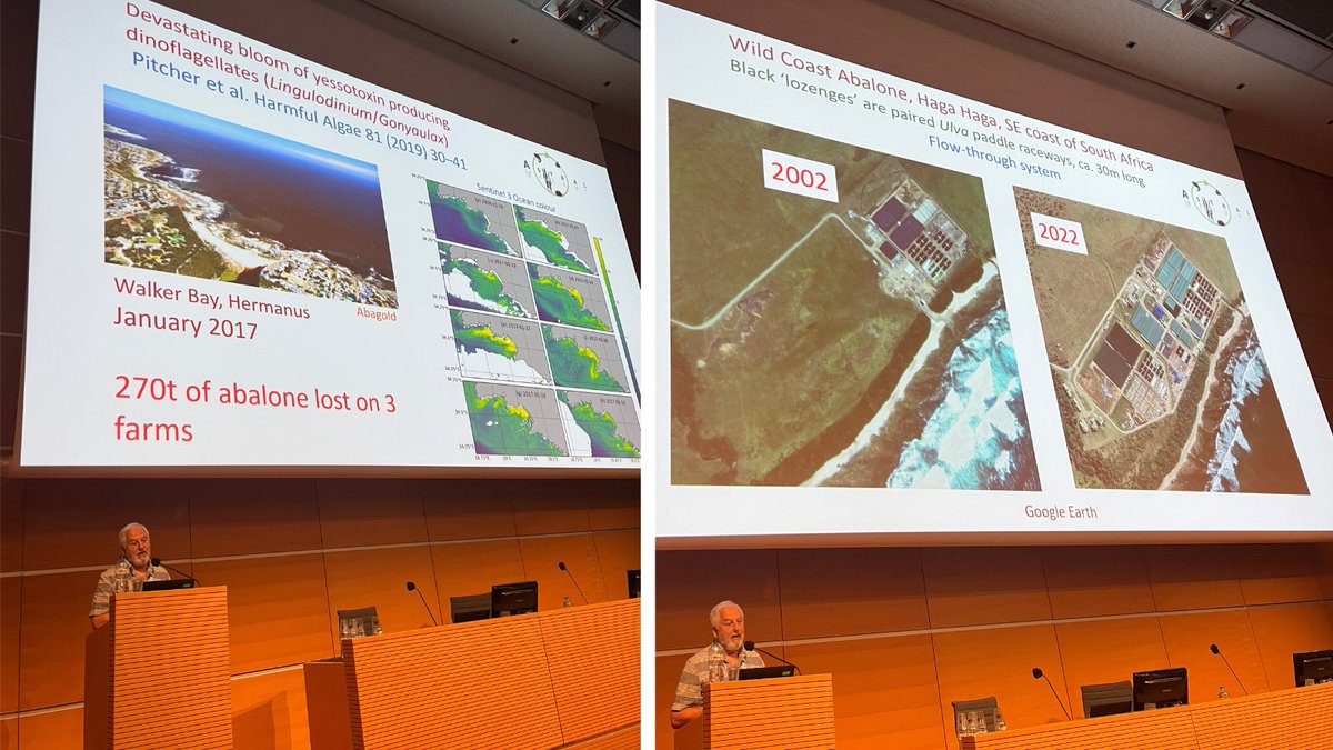 ASTRAL_H2020's tweet photo. Great presentation from John Bolton (@UCT_news) at #AE22RIM this morning!👏

➡️ Daily rhythms of critical #WaterQuality parameters in commercial land-based, partially recirculated #abalone / #ulva integrated aquaculture systems, &amp; the potential for increasing recirculation rates https://t.co/k7WC9YX0o2