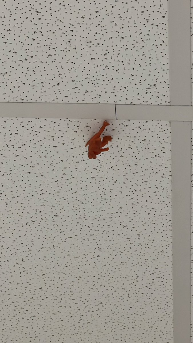 MrsGutierrezBF's tweet photo. I spy with my little eye a 🦖 on the ceiling @JayBilly2 #inquiringminds #havequestions https://t.co/CyEjw0d8xA