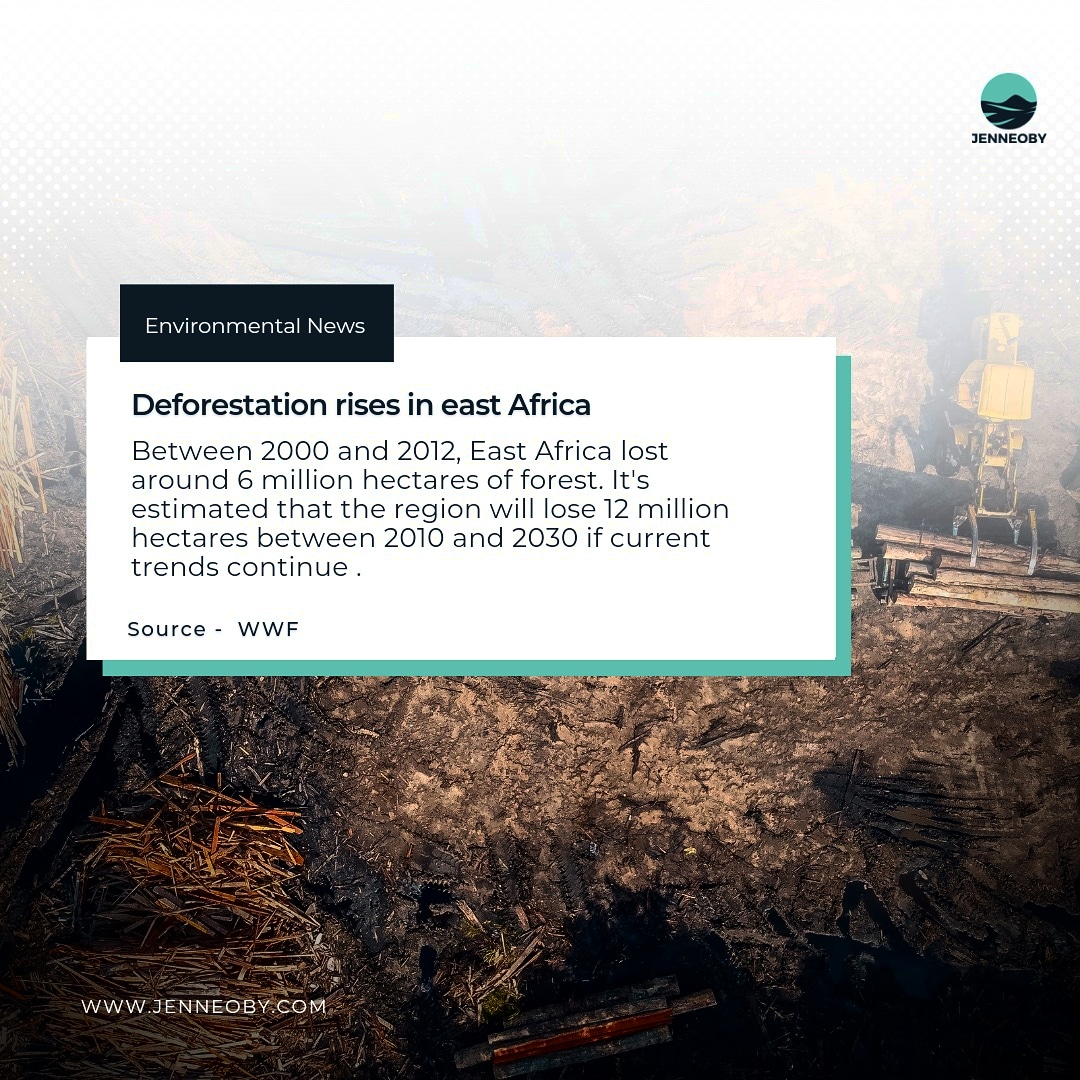 jenneobyng's tweet photo. Between 2000 and 2012, East Africa lost around 6 million hectares of forest. It's estimated that the region will lose 12 million hectares between 2010 and 2030 if current trends continue(Source: WWF)
#environmentalfacts #environmentalsafety #jenneoby https://t.co/7DK2IYseMQ