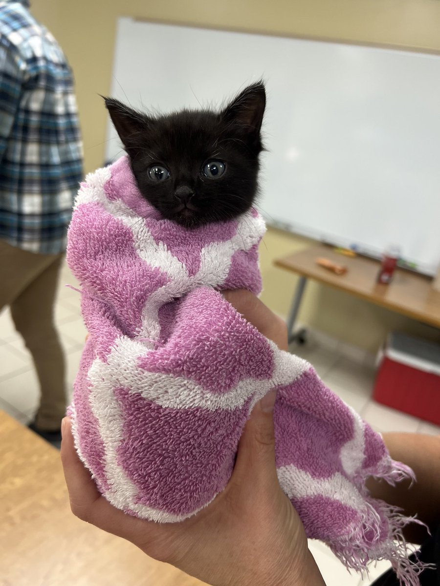 Amanda Becker tweet media