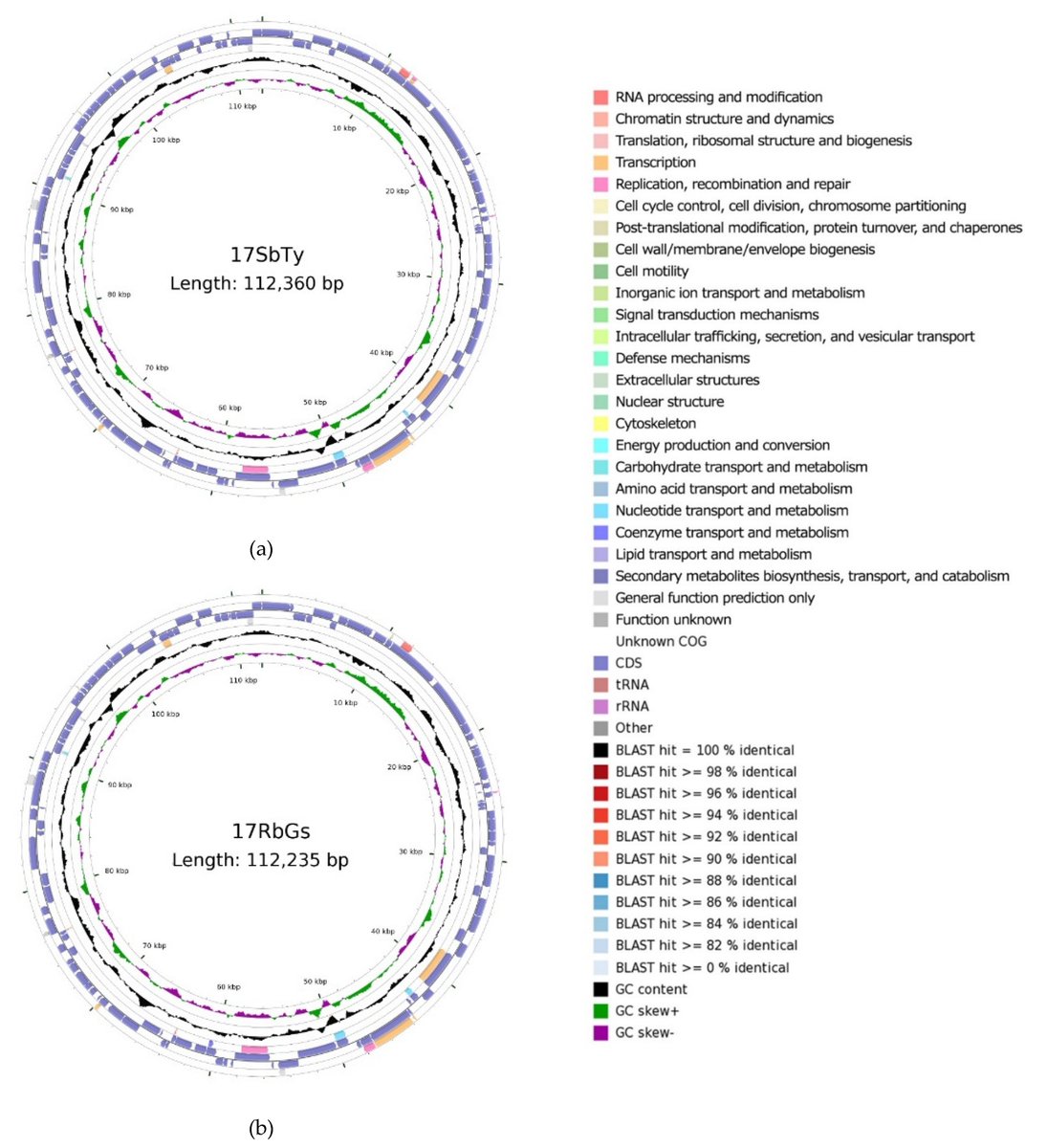 Fishes Mdpi Fishes Mdpi Twitter Fishes Mdpi Fishes Mdpi Twitter
