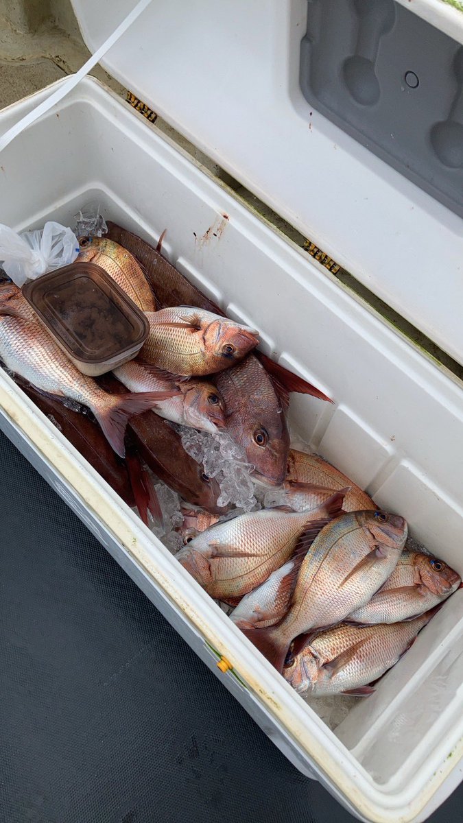 幸福丸 (@8DNu7lP6249kBJM) / Posts / X