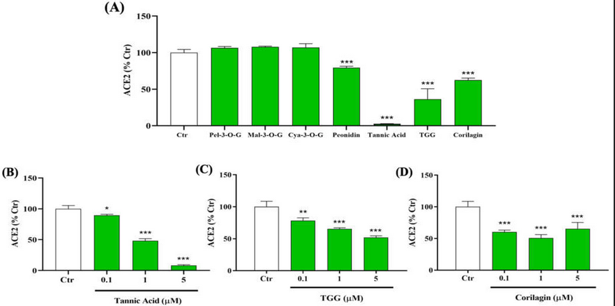 IJMS_MDPI's tweet photo. Selected #COVID-19 papers published in 2022
The authors confirm the potential role of #tannicacid in the prevention of #SARS-CoV-2 infectivity through the inhibition of #extracellular RBD/ACE2 interactions and #TMPRSS2 and #3CLpro activity. Read more here: https://t.co/5TXjtCVf6W https://t.co/TkTXDaw5p8