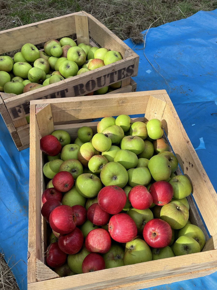 Dr Jo Jennings tweet media