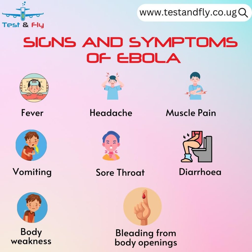 testandfly's tweet image. There is an Ebola outbreak in Mubende district. Here are the early signs and symptoms of Ebola that you need to look out for. 

Kindly report to the nearest health facility if you experience any of these.

#Health #Ebola #TestAndFly