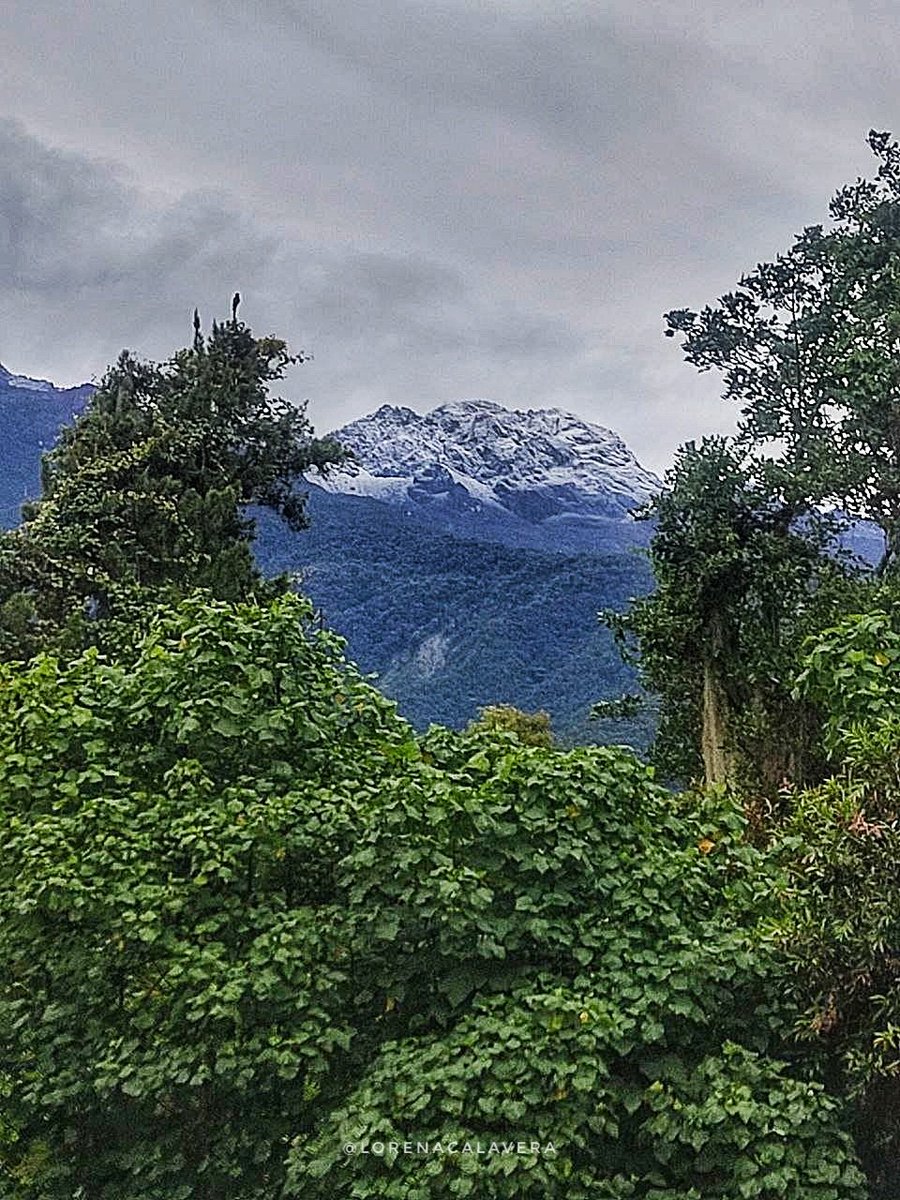 lorenacalavera's tweet photo. Después de una noche de truenos Mérida se viste de blanco 🏔️🫶🇻🇪

#Merida https://t.co/hk1ne6cV5S