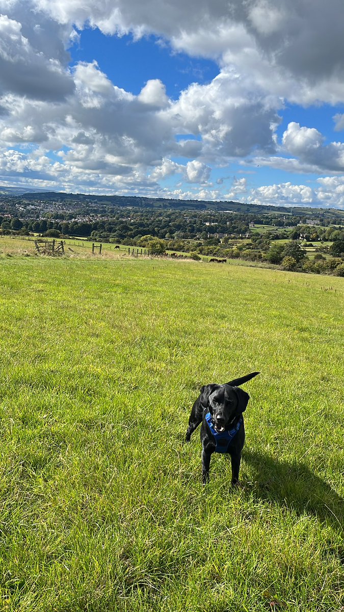 WrenchKatie's tweet photo. How many more lunchtime walks like this do you think we’ve got? #trainingbreak #lifestorywork @RedcarCleveland @DurhamCouncil lots of interesting convos about language, safety and whether the time is right… https://t.co/6RazrsIemD