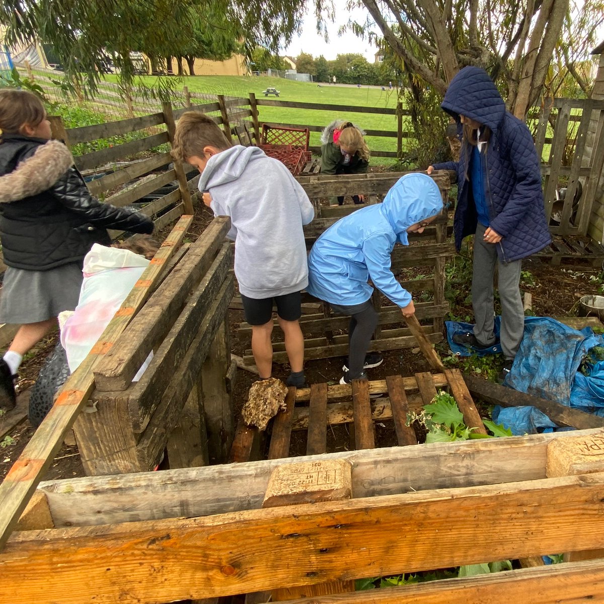 Rhws Primary School tweet media