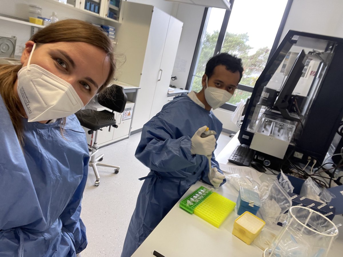 norabalzer1's tweet photo. Extracting DNA 🧬 from human fecal matter 💩 with the ⁦@QIAGEN⁩  #powerfecal at the ⁦@WGGC_de⁩ #autumnschool 🥼👩‍🔬🧑‍🔬 https://t.co/KBuh6gFvTn