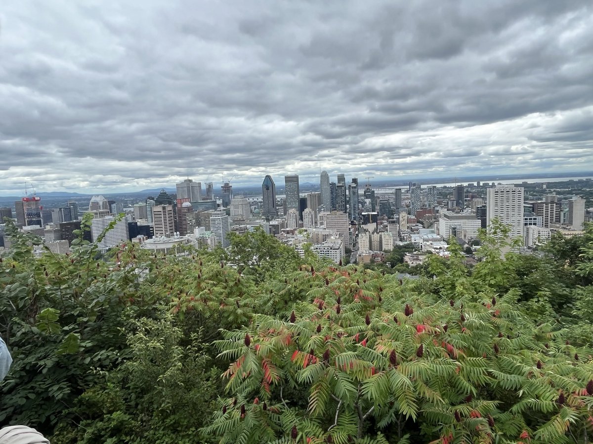 DBvinal's tweet image. Farewell, Montreal. You and my new friends will be missed. But I will not miss your winter season. Merci! @Montreal @MPCVFX @FullSailAlumni