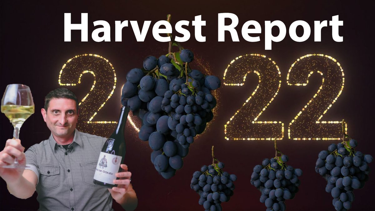 An insight into... How Good #Wine Will Be in 2022! 🍇🍇🍇🍷🍾🍇🇫🇷🇺🇸🇮🇹 #winenews My Harvest Report in Video Watch here📽👉 youtu.be/mLd16_SBhL4 #winelover With @BonnerPWP