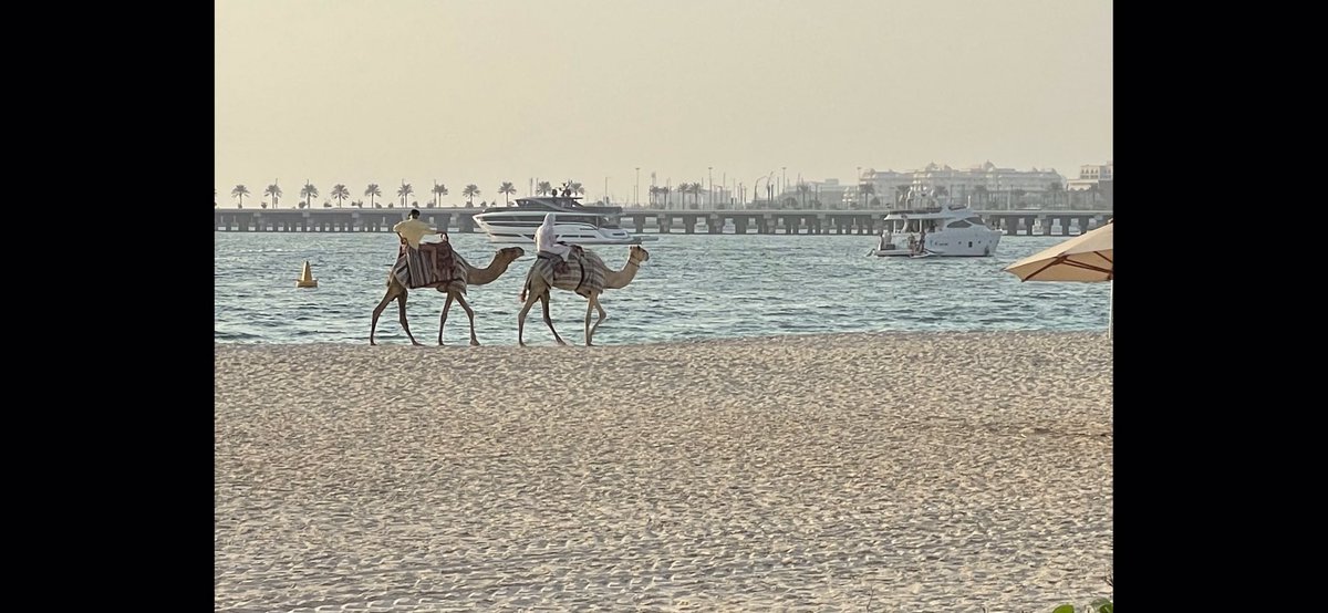 EXN_DataMark's tweet image. HumpDay Wednesday  back on the beach. #Dubai #RechargeTime