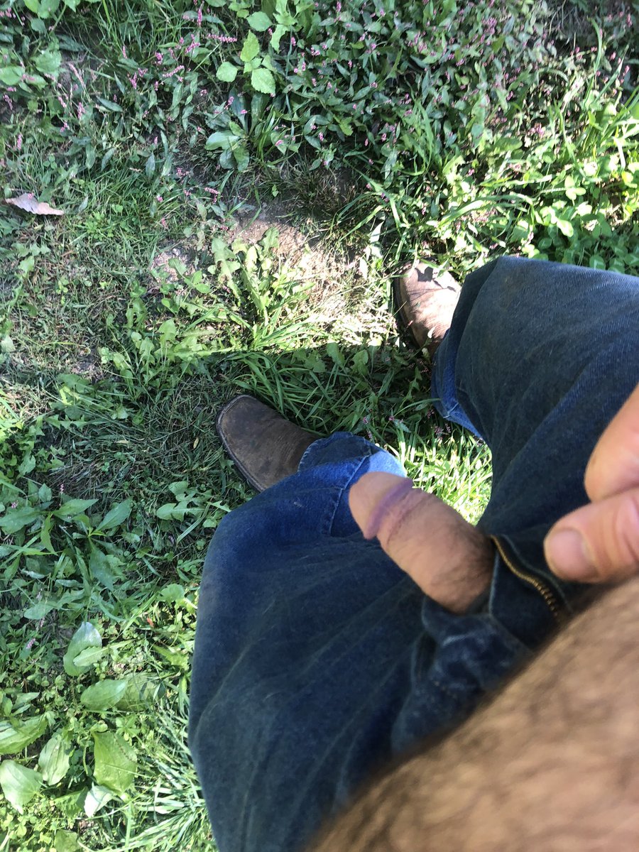 countyboyfun's tweet photo. My walk around the farm https://t.co/5Bz8HfMgRR