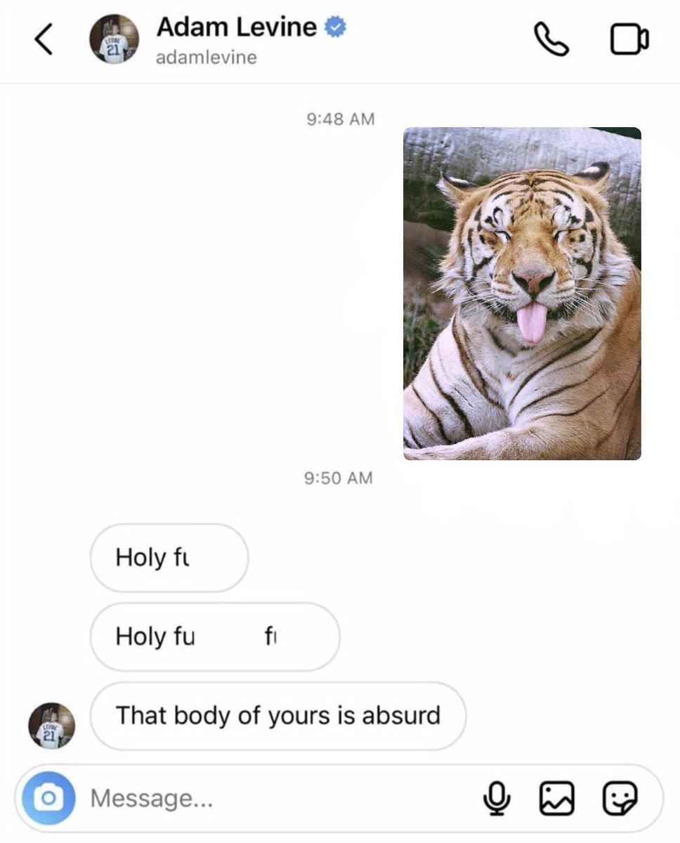 Protect Wildlife 🫡