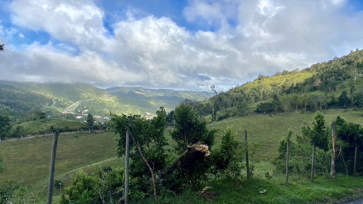 CayeyCiudadVerd's tweet photo. Sol Naciente por Cayey #Gorito #QuebradaArriba https://t.co/dvFCH5IW1j