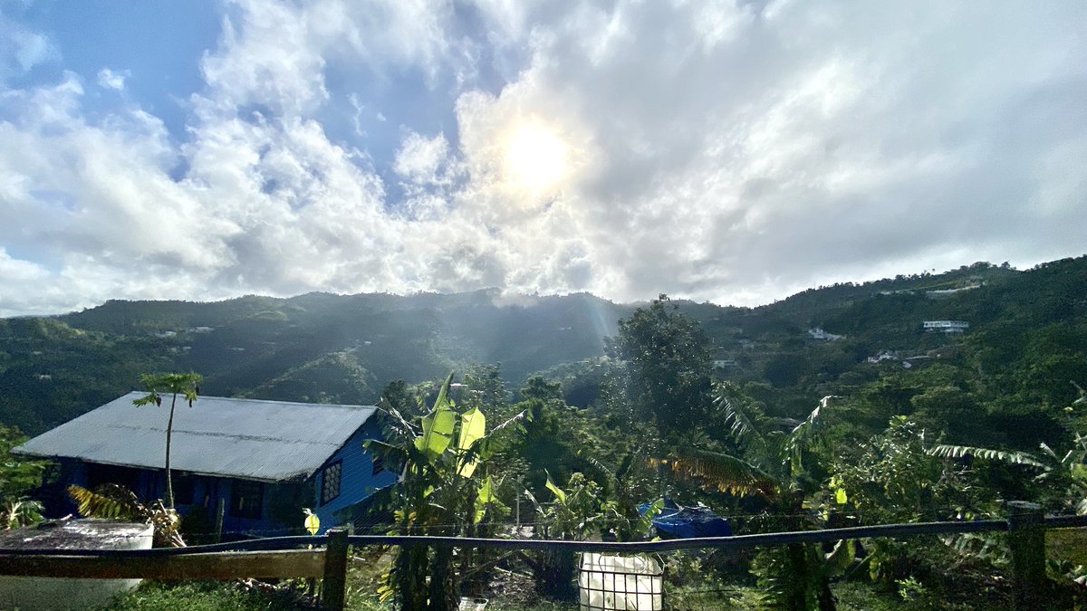 CayeyCiudadVerd's tweet photo. Sol Naciente por Cayey #Gorito #QuebradaArriba https://t.co/dvFCH5IW1j