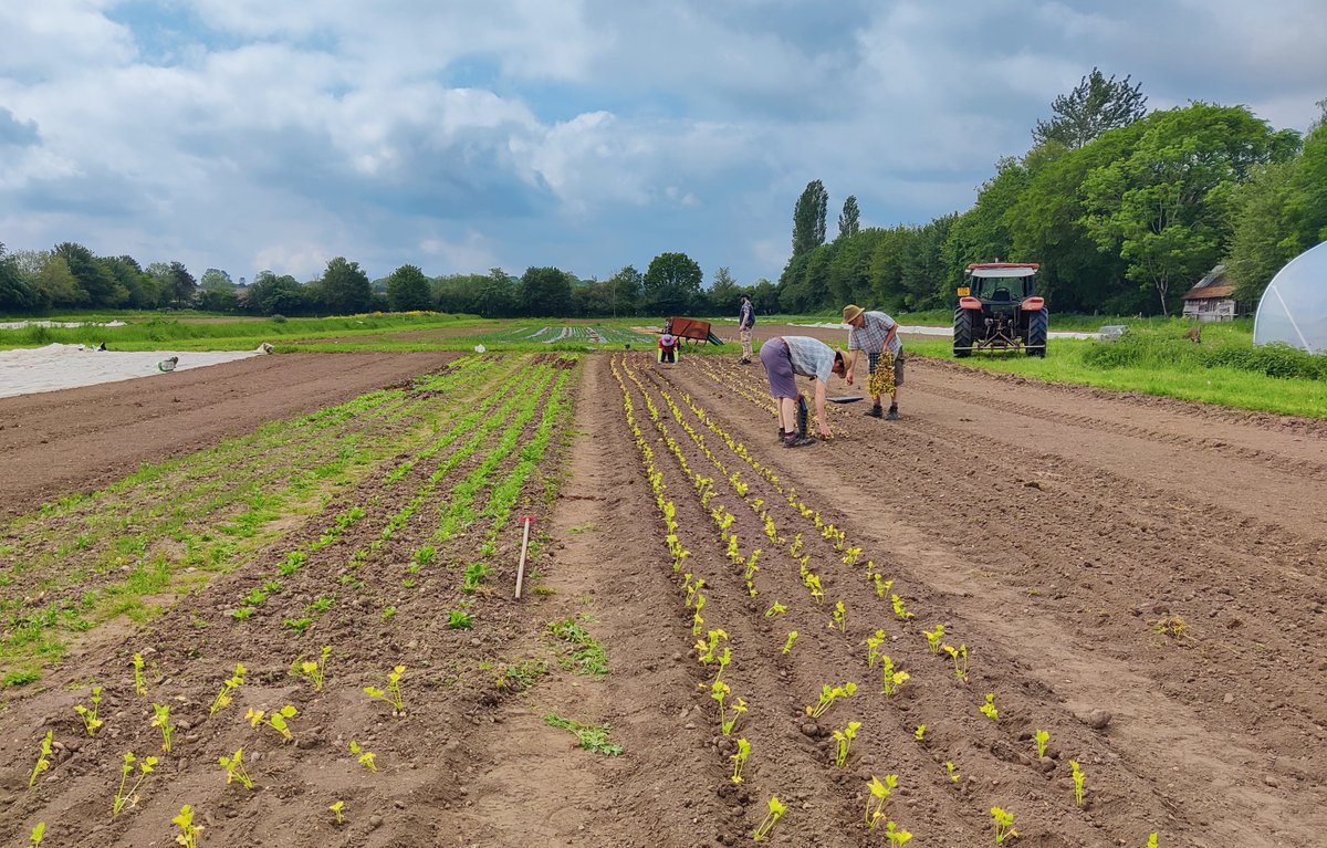 CoventryCAWR's tweet photo. CAWR will be at the forthcoming @OGAgrowers conference, Organic Matters 18th October. Come to our stand &amp; find out more about our work 
Info &amp; registration here - https://t.co/5zheLrDeLq
@OrgPLUSresearch @CovUniResearch @mac_birmingham 
#Organic #SoilHealth #OrganicMatters2 https://t.co/X886xK2UV1