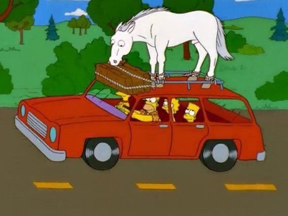 #EsProhibido tener una mascota diferente a perros y gatos? NO, las mascotas varían, en el campo el caballo en la ciudad los roedores.
Lo que sucede es que algunos desconocen la realidad de quienes no están en su círculo social.
<a href="/JAlirioBarreraR/">Alirio Barrera🐴</a> <a href="/darcyquinnr/">Darcy Quinn</a>