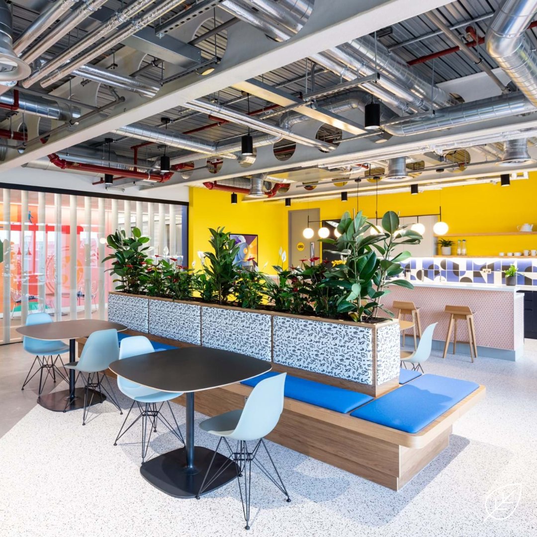 Vibrant, colourful and most of all biophilic🟩🌿🌴

That is #NatureByDesign See how #TeamPlantPlan can transform your space! - 0800 279 3120 / info@plantplan.co.uk / plantplan.co.uk

#Officedesign #Officeplanting#Interiordesign #Biophilia #Plantingdesign